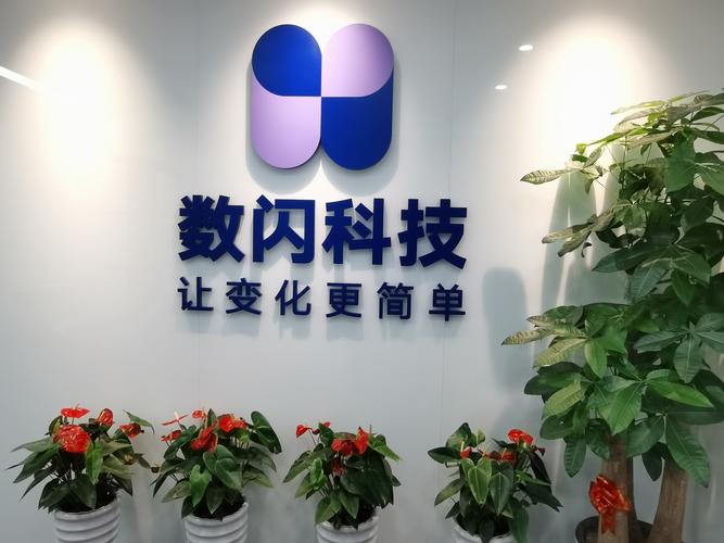温州数闪科技 立足计算机系统服务的卓越领航者