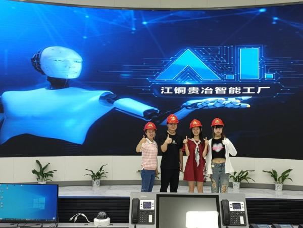 外国语学院开展企业数字化转型调研暨访企拓岗活动——聚焦计算机系统服务领域